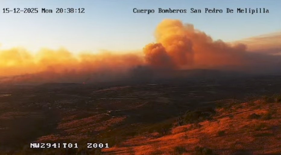 Incendio forestal en San Pedro de Melipilla: hay Alerta Roja