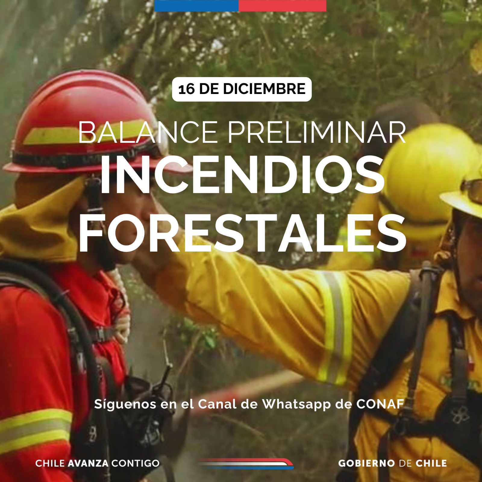 Nuevo Balance sobre Incendios forestales