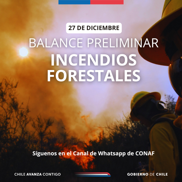 ACTUALIZACIÓN: Incendio Forestal Larmahue Pichidegua