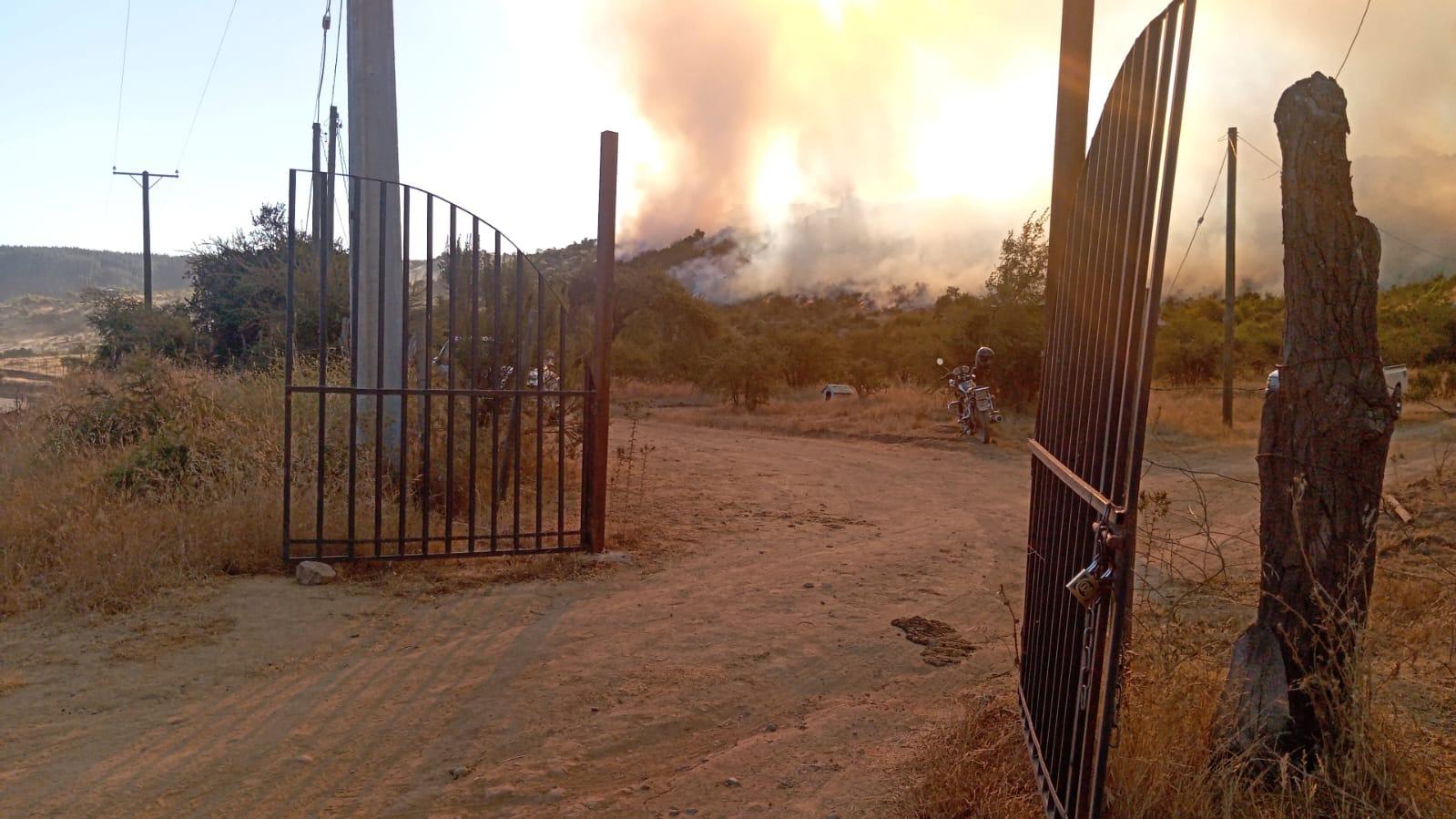 Esta tarde de Martes   Incendio Las Palmas, comuna de Chépica, región de O’Higgins.