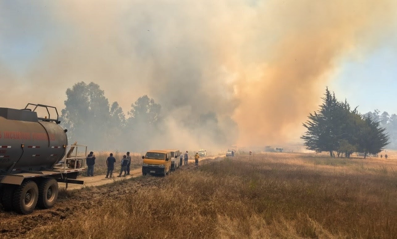 Incendio Forestal en el Sector Panilongo,Pichilemu