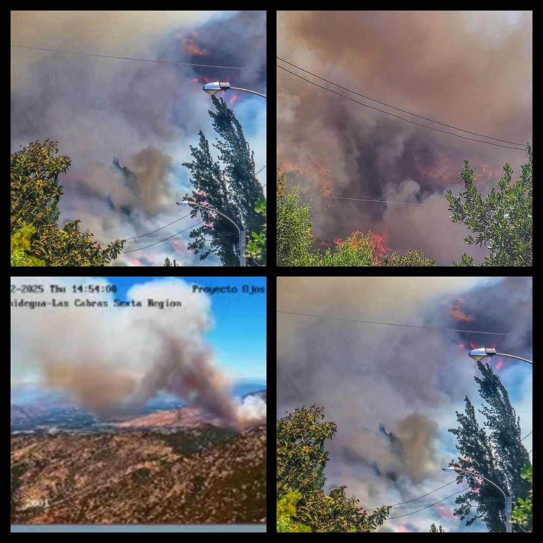 Incendio Forestal  Larmahue Región de O’Higgins, comuna de Pichidegua.