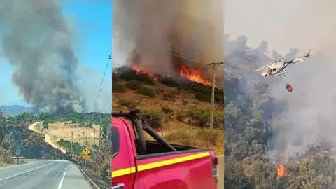 Incendio Forestal en Sector de Rápel , Comuna de Litueche
