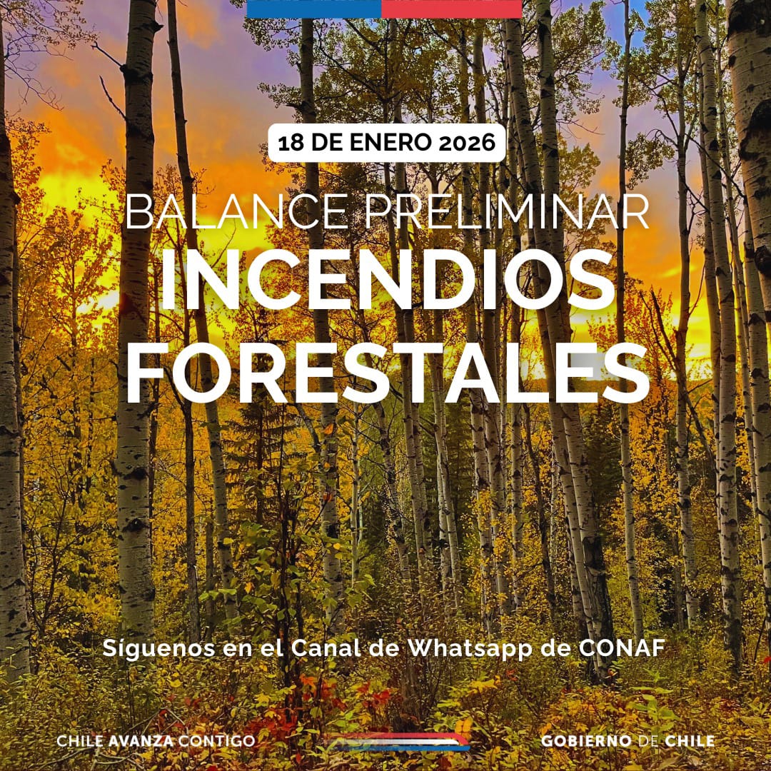 Conaf  Informa Balance Incendios Forestales en el País
