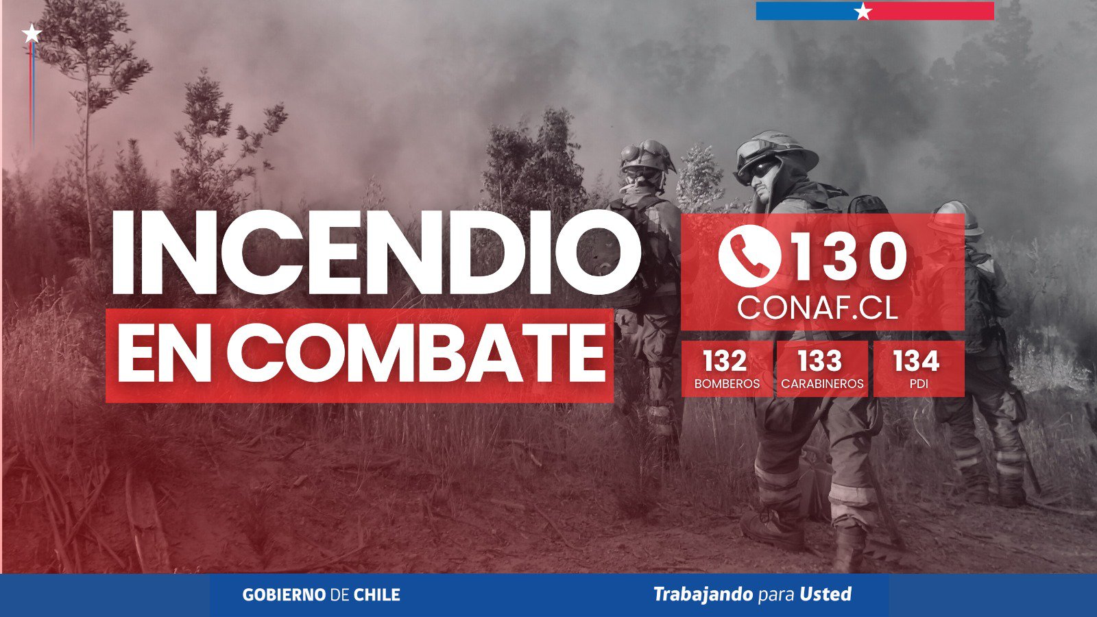 Se mantiene en combate el incendio forestal “Rincón del Potrero”, comuna de Pichilemu, Región de O’Higgins.