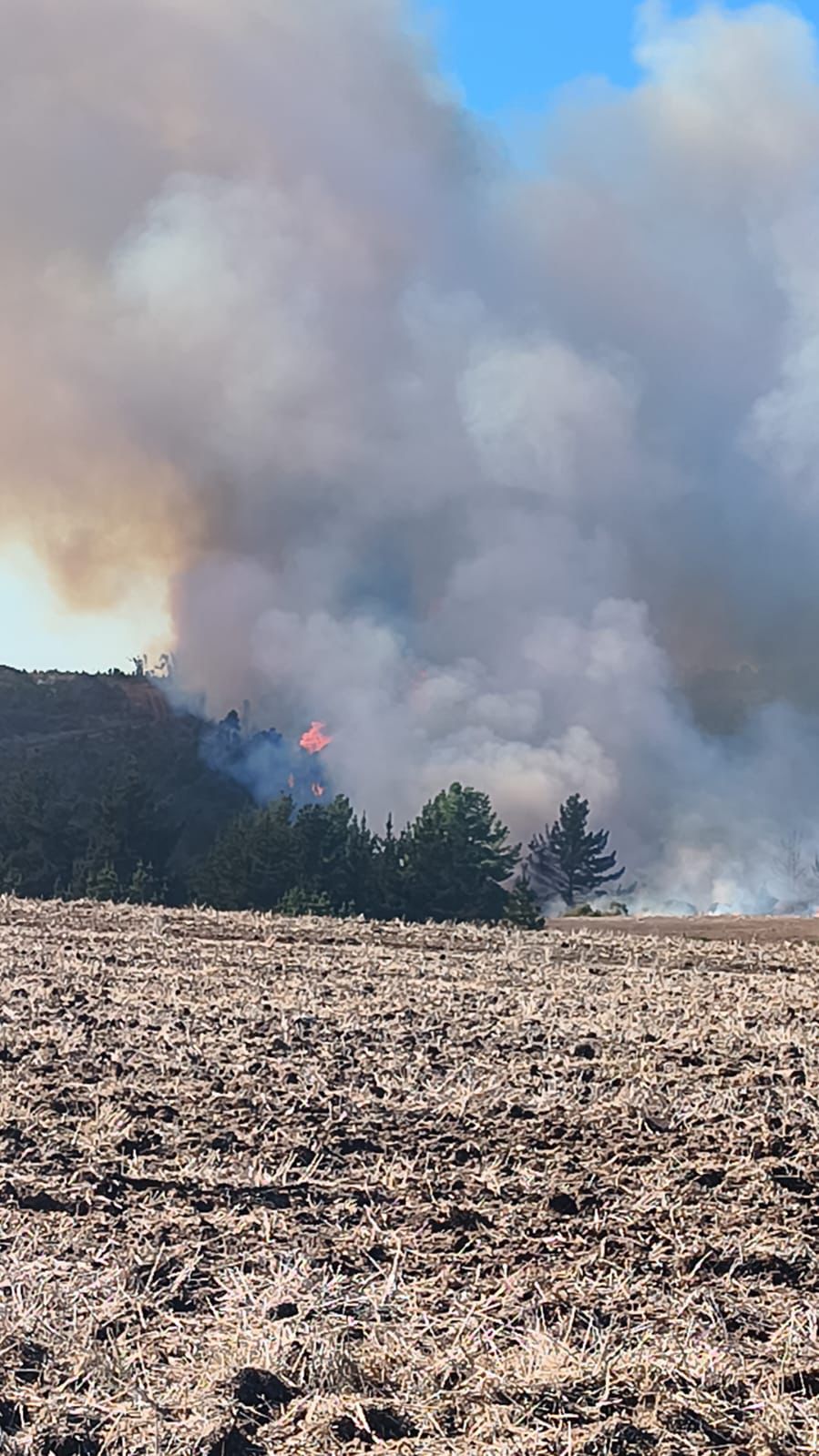 Incendio Forestal en el  sector de Tanumé